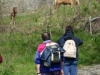 photo_2