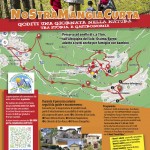 Locandina